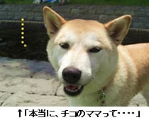 u{ɁA`R̃}}āEEEEv@@