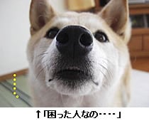 ulȂ́EEEEv