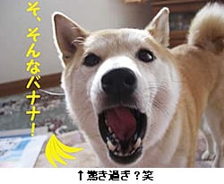 ߂H