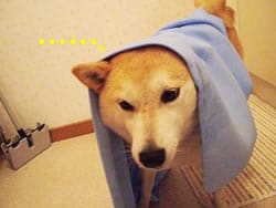 EEEEE