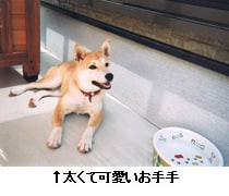 ĉ