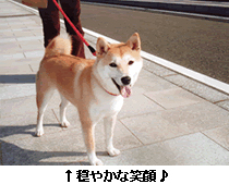 ₩ȏΊ