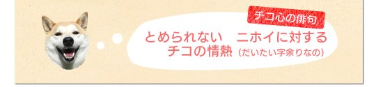 とめられない ニホイに対する チコの情熱