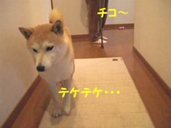 `R@ePeP
