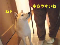 ˁ@₷