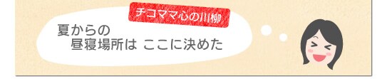 夏からの 昼寝場所はここに決めた