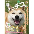 Č̃`R[DVD]