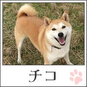 `R