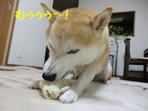 �ނ��鎞�́A�ӊO�ɕK���ł��i�΁j