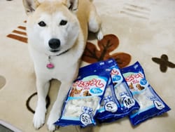 �͂Ԃ炵�K��