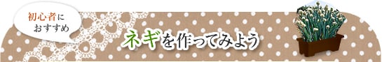 ネギを作ってみよう