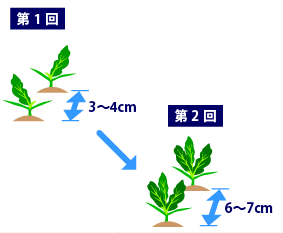 間引き