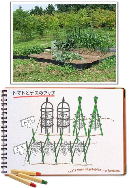 第９回 トマトとナスの簡単支柱立て アイリスプラザ メディア