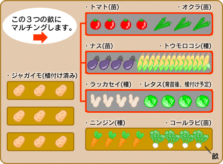 摜