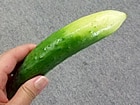 LE