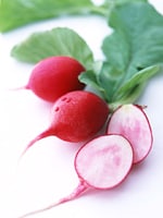 木原先生の「おいしい寄せ植え講座」