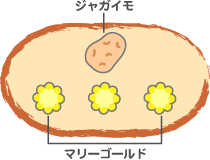 ،搶́u񂹐Auv