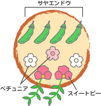 ،搶́u񂹐Auv