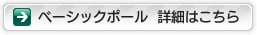x[VbN|[  ڍׂ͂