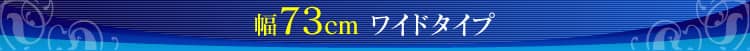 73Ch^Cv