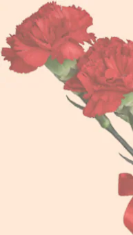 �w�i�f�U�C�� �J�[�l�[�V����