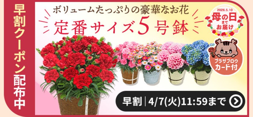 �����E�����Ɋւ��邲�ē�