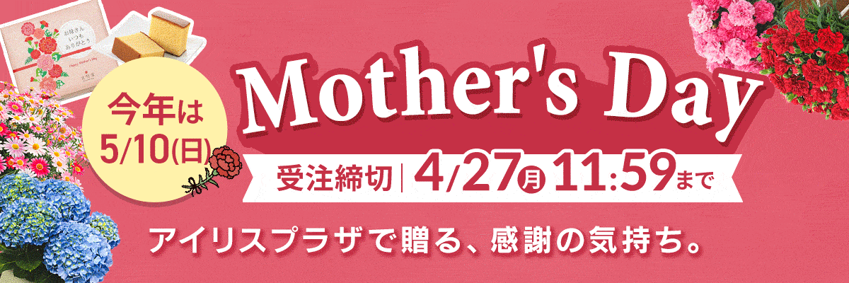 �A�C���X�v���U ��̓�