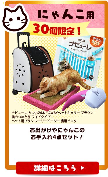 ニャンニャン本舗セール中 商品詳細｜泥棒日記｜CHIGIRI