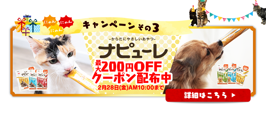 2月22日はニャンニャンニャン！猫の日キャンペーン開催の