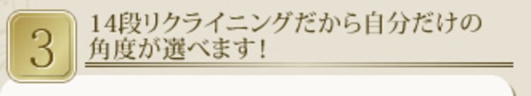 ベッド シングル 折りたたみ 14段階リクライニング 厚さ9cm OTB-TRN5