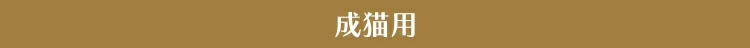 Lp