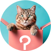 �v���[���g