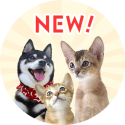 �V�K�o�^���T