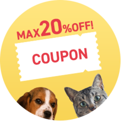 �y�b�g������T