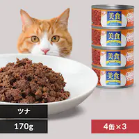 y12ʃZbgzHj[͂ci CBR-170P 170g~4 L t[h
