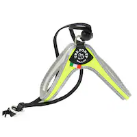 LTP101 Liberta FLUO CG[/2  Un[lX
