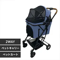2wayybgJ[g 1691109002 fj