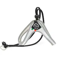 LTP101 Liberta FLUO zCg/2.5  n[lX U 