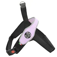 LTP200 Primo REFLECTIVE L x_[  n[lX U 