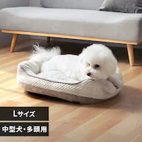  ybgxbh \t@[ LTCY O[W