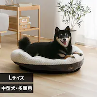  ybgxbh I[o\t@| LTCY `R[