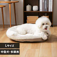  ybgxbh I[o\t@[ LTCY O[W