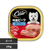 }[XWp~ebh V[U[ Ir[t gC 100g CE26N ܂yvUZNgz