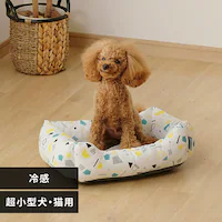 ybgxbh tėp p` STCY