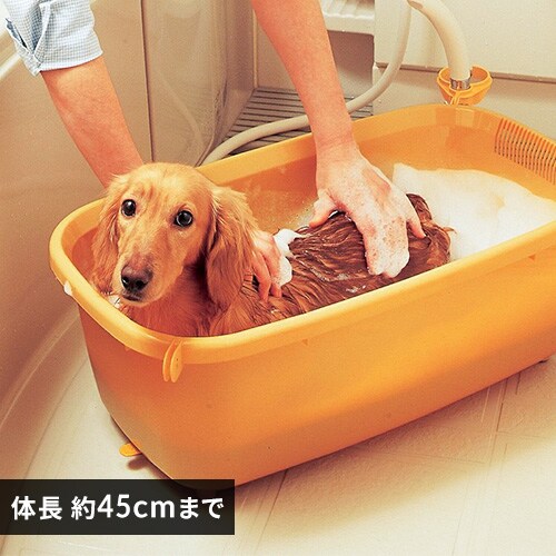 本体】無添加リンスインシャンプー 600ml MRS-600 P523917 │アイリスプラザ│アイリスオーヤマ公式通販サイト