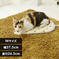 ybgpzbgJ[ybg   PHK-M MTCY