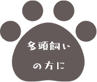 ̕