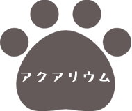 ANAE