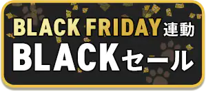 BACK FRIDAYA ybgBLACKZ[