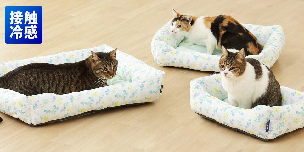 わんちゃんねこちゃんの春夏ベッド特集 アイリスプラザ アイリスオーヤマ公式通販サイト わんちゃんねこちゃんの春夏ベッド特集 アイリスプラザ アイリスオーヤマ公式通販サイト